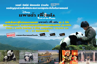SF เอาใจคนรักแพนด้าน้อย...ลุ้นทัวร์บินลัดฟ้าชมความน่ารักถึงเมืองจีน!!