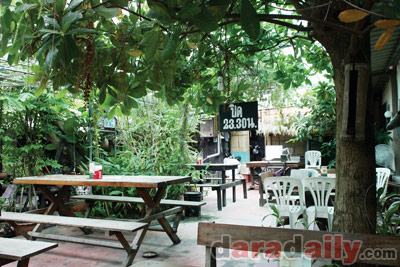 อุดมด้วยอาการรสดี ที่"ไก่ท้องนา"