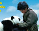 SF เอาใจคนรักแพนด้าน้อย...ลุ้นทัวร์บินลัดฟ้าชมความน่ารักถึงเมืองจีน!!