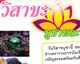 ประกาศหมายเลขโทรศัพท์ผู้โชคดีที่ได้โครงการ“วิสาขะ บูชาพระ ให้อิสระทาน”กับโตโน่-เซน The Star 6