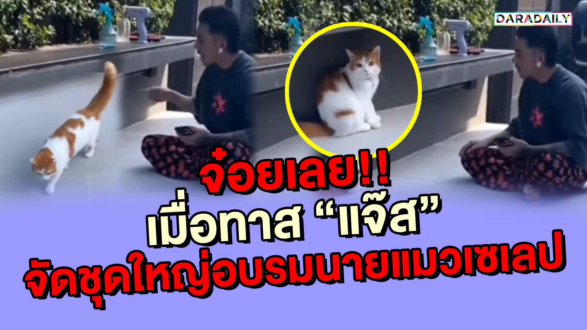 จ๋อยเลย!! เมื่อทาส “แจ๊ส” จัดชุดใหญ่อบรมนายแมวเซเลป