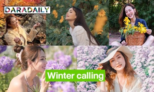 Winter calling  5 ซุปตาร์รับลมหนาว