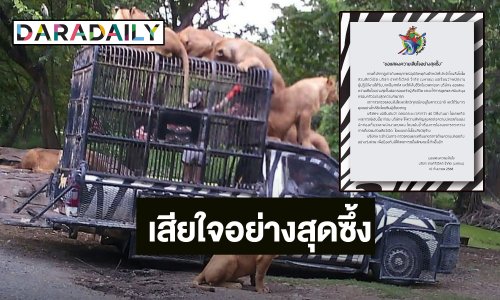 “ซาฟารีเวิลด์” แถลงเสียใจ ต่อพนักงานเสียชีวิต ดูแลครอบครัวเต็มที่ ยัน! สิงโตอยู่ในสภาวะปกติ