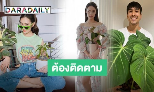 เคล็ดลับ! ท่าโพสต์ดารากับต้นไม้ เซฟเป็นไอเดียด่วน