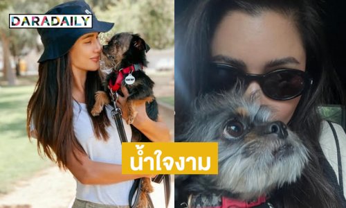 ซูเปอร์ฮีโร่ของฉัน! นางเอกรับเลี้ยงน้องหมาตาพิการจนแข็งแรงดี