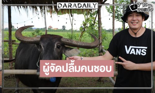 “ผู้จัดวีรภาพ” หายเหนื่อย “เลดี้ทุ่งกระบือบาล” เรตติ้งพุ่ง