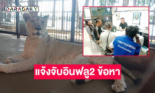 กรมอุทยานแจ้งจับอินฟลูเจ้าของสิงโตมเหสี 2 ข้อหา