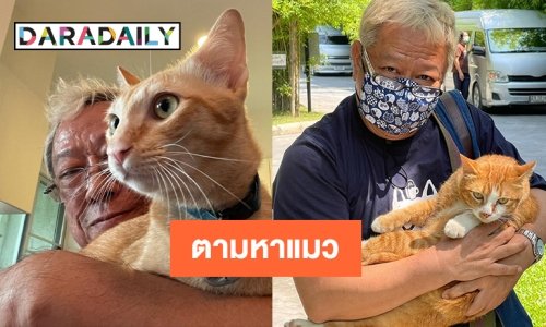 “ป้าแจ๋ว ยุทธนา” ประกาศตามหาแมวน้องเจ๋อ