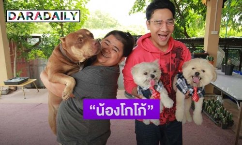 เปิดบ้าน "โก๊ะตี๋" แนะนำเลี้ยง "พิทบลู" ยังไงให้เป็น "ชิวาว่า"