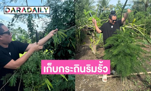 ผู้จัดการยูทูบเบอร์ดังโชว์เก็บกระถินริมรั้วและผลไม้มากินเวลาหิว
