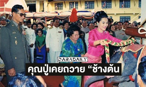คุณปู่ดาราดังเคยถวาย “ช้างต้น”เป็นช้างเผือกในรัชกาลที่ 9
