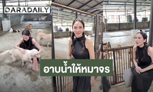 นางฟ้าบนดิน! “อั้ม พัชราภา” อาบน้ำดูแลสุนัขจรจัด กว่า 130 ตัว “เอ ศุภชัย” ลงคลิปสุดอบอุ่น
