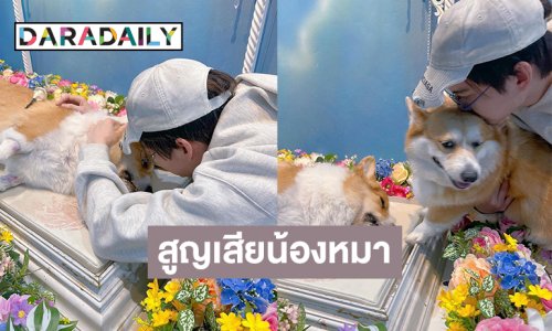 “กอล์ฟ พิชญะ” เศร้าสูญเสียน้องหมา DASH