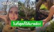 เก็บอาการไม่อยู่! “เอมี่ กลิ่นประทุม” ดีใจต้นมะกอกที่อยากได้มาลงปลูกถึงบ้านแล้ว เพราะผู้ชายคนนี้