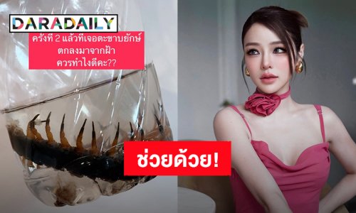 ช่วยด้วย! “แอร์ ภัณฑิลา” เจอตะขาบยักษ์และกองทัพแมลงสาบร่วงลงมาจากฝ้า