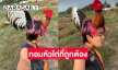 ไลก์ 390Kในคืนเดียว “ไก่บักโจ้น” ทอมหัวไก่ต้องผงกหัว... ลุกกะลุกเด้อ