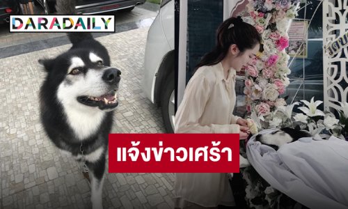 “ปันปัน สุทัตตา” สูญเสียเพื่อนร่วมชีวิตที่อยู่กันมา 13 ปี “น้องลูกหมี” กลับดาวหมาแล้ว