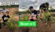 ไม่ใช่เรื่องง่ายๆ! “เคน ภูภูมิ” กว่าจะได้ทุเรียนต้นแรกของสวน ใช้เวลา 2 ปี