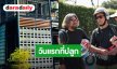 “ลีโอ พุฒ” ลงภาพต้นทองนพเก้า วันแรกที่ปลูกเป็นวันเก็บอัฐิ “เร แม๊คโดแนลด์” 