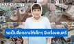 “แม่เม้า สุดา” ขอความร่วมมือในนาม “สมาคมดนตรีแห่งประเทศไทยในพระบรมราชูปถัมภ์” ช่วยเหลือโรงเรียนที่เครื่องดนตรีได้รับความเสียหายจากน้ำท่วม