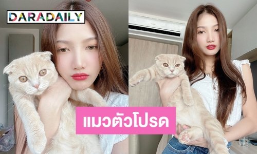 เปิดตัว “นูนู่” ของ “นานา”  ที่มาเพลงดังแมวตัวโปรด