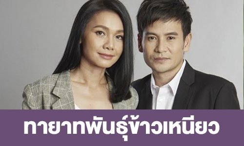 เรื่องย่อ “ทายาทพันธุ์ข้าวเหนียว”