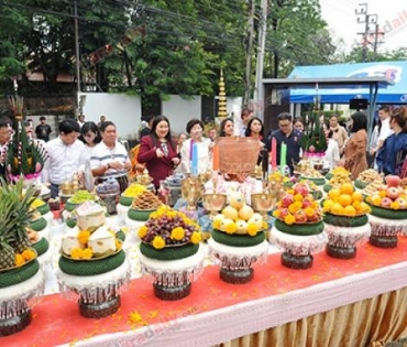 งานครบรอบ 14 ปี ดาราเดลี่