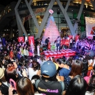 แกงส้ม, ฮั่น ร่วมงานเปิดตัวต้นคริสต์มาส