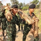 “อาย - ท๊อป” ร่วมกิจกรรม “โครงการปลูกเสริมและบำรุงรักษาพืชอาหารช้าง”