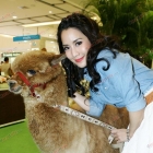 จักจั่น-อคัมย์สิริ, แพท-ณปภา ร่วมงาน "Seacon Pet Planet : Hay Day"