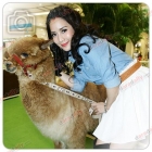 จักจั่น-อคัมย์สิริ, แพท-ณปภา ร่วมงาน "Seacon Pet Planet : Hay Day"