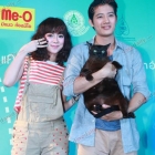 CAT อ่ะ แว๊บ! (CAT A WABB!) ภาพยนตร์โรแมนติกคอมมิดี้ อารมณ์เหมียว