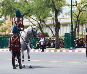 ขบวนพระบรมราชอิสริยยศ พระราชพิธีถวายพระเพลิงพระบรมศพ พระบาทสมเด็จพระปรมินทรมหาภูมิพลอดุลยเดช บรมนาถบพิตร