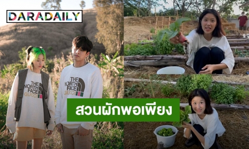 “โทนี่” อวดสวนผักปลอดสารพิษ พร้อมโชว์เก็บเกี่ยวผลผลิตครั้งแรก