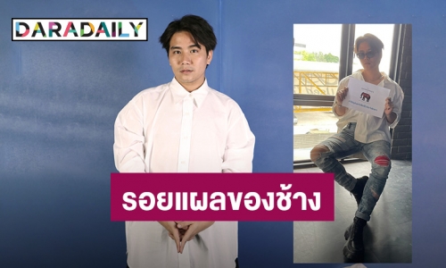 “ชีวิน Y-Destiny” ขอร้อง! เลิกสนับสนุนการใช้ช้างเพื่อความบันเทิง