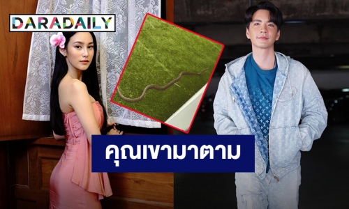 ทำอะไรผิดมา! “นิว วงศกร” ลั่นผมไม่ได้เจ้าชู้ หลังเจองูเข้าบ้าน “นาว” โผล่คอมเมนต์แบบนี้