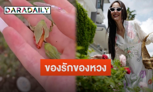 “ขวัญ อุษามณี” โพสต์คลิปดอกกุหลาบเจอชาวเน็ตขอซื้อ ลั่นจะให้เท่าไหร่ก็ไม่ขาย
