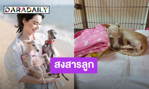 “ใหม่ ดาวิกา” สงสาร “นับดาว” น้องสุนัขสุดที่รักบาดเจ็บ แฟนคลับแห่ให้กำลังใจ