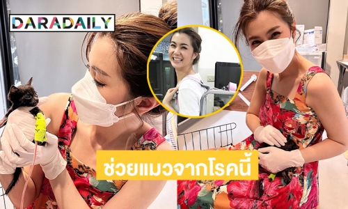 จ่าย 52,829 “จ๊ะจ๋า พริมรตา” รักษาแมว “เมย์เดย์” จากโรคนี้ 