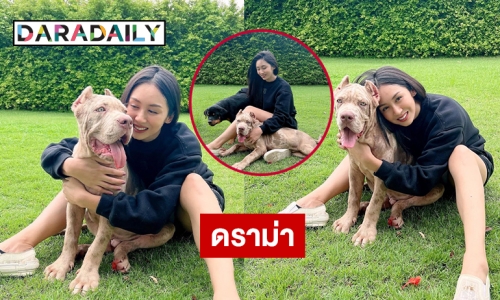 ดราม่าบังเกิด “แซน วิศาพัช” ลงภาพน้องหมาบอกไม่เห่านะลูก