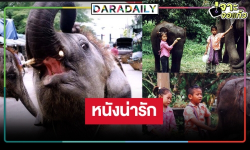 รื้อฟิ้นความทรงจำ! “ช้างเพื่อนแก้ว” ภาพยนตร์มิตรภาพที่แสนอบอุ่นหัวใจของคนและช้าง