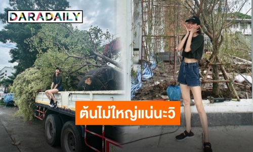 ควบคุมทุกขั้นตอน “ใบเฟิร์น พิมพ์ชนก” ลงต้นไม้ใหญ่เป็นสิริมงคลแก่บ้าน