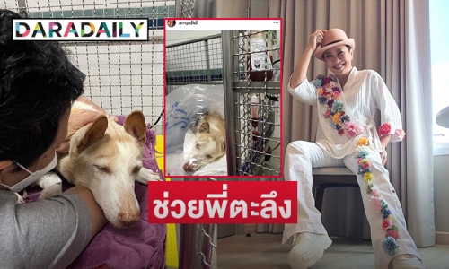 วงการให้กำลังใจ  “แอม เสาวลักษณ์” ช่วยพี่ตะลึง