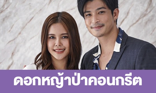 เรื่องย่อ “ดอกหญ้าป่าคอนกรีต”