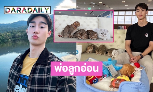 ต้อนรับวันแมวโลก! “ฟอส จิรัชพงศ์” เปิดตัว “เป่าเฟย-กาฟิวส์-ปังปัง-ไทเกอร์”