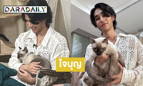 “เจฟ ซาเตอร์” ขออุปการะน้องแมวจาก Catster บ้านพักพิงแมวจร