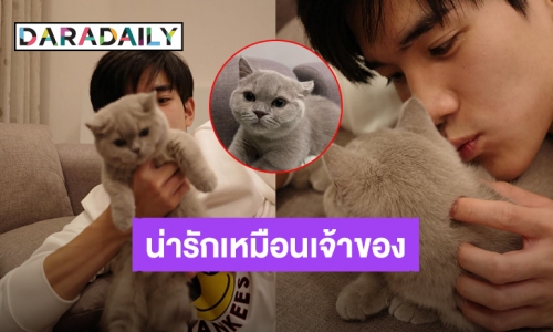 “โฟร์ท” เปิดตัว “น้องมันม่วง” หน้าตาน่ารักเหมือนเจ้าของจนติดเทรนด์