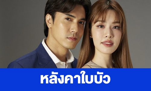 เรื่องย่อ “หลังคาใบบัว”