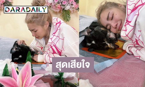 น้องหมาแสนรักของ “วันเดอร์เฟรม” เดินทางไกลแล้ว