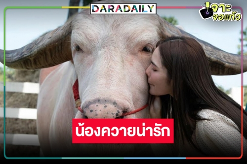 โมเมนต์น่ารัก! “ชาล็อต” หลงเสน่ห์ควายเผือก จุ๊บแก้ม “เจ้าโก้”